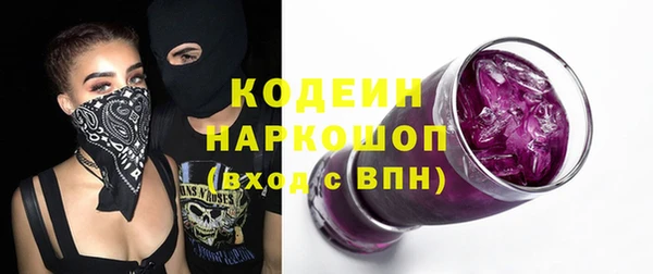 стаф Арсеньев