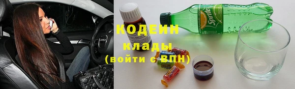 стаф Арсеньев