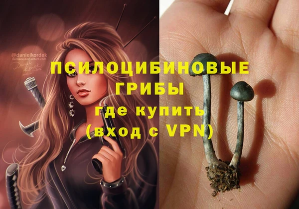 a pvp Армянск