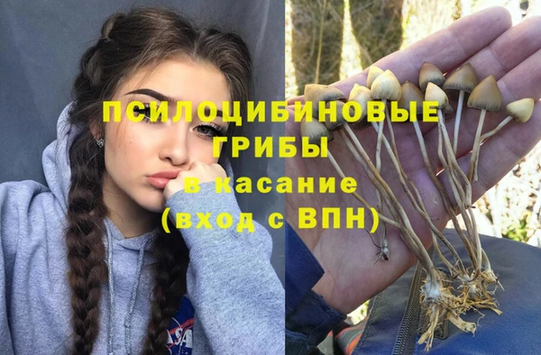 a pvp Армянск