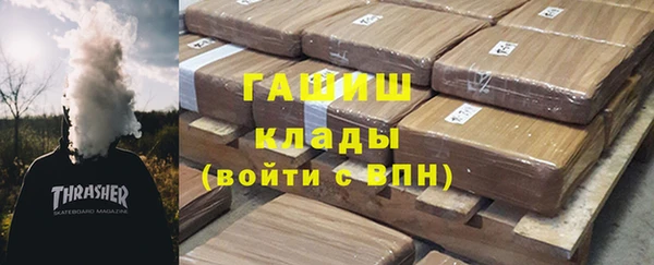 стаф Арсеньев
