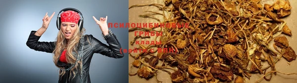 таблы Богородск