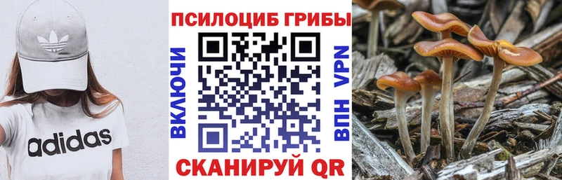 Галлюциногенные грибы мицелий  kraken сайт  Бабаево 